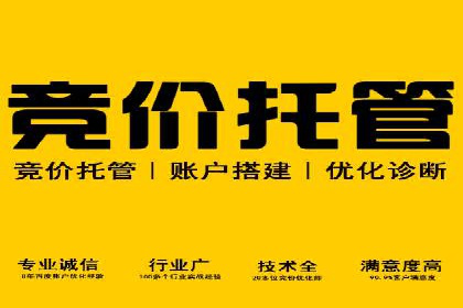 百度竞价推广托管的成功案例：从零到一的突破